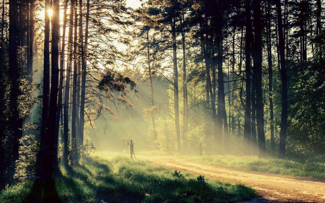 一张美味的图片 &middot; #3933