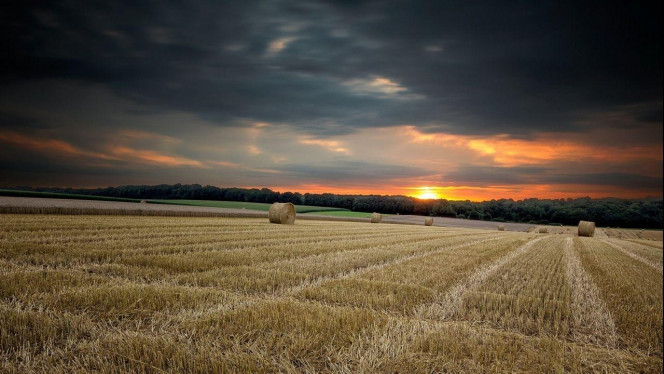 一张美味的图片 &middot; #2492