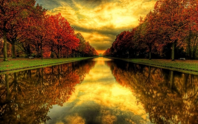 一张美味的图片 &middot; #42