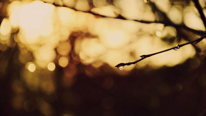 一张美味的图片 &middot; #4007