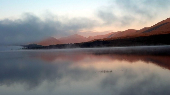 一张美味的图片 &middot; #2754