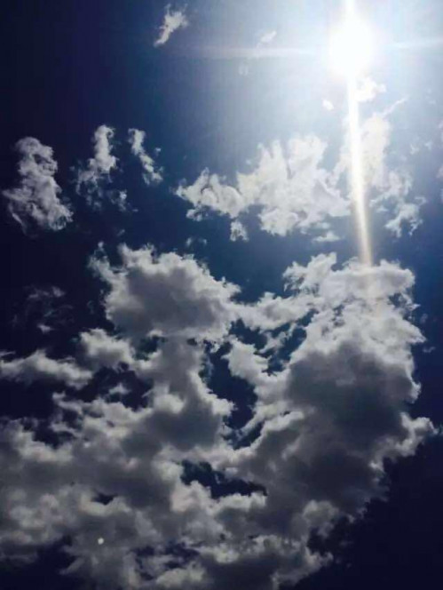 一张美味的图片 &middot; #5166