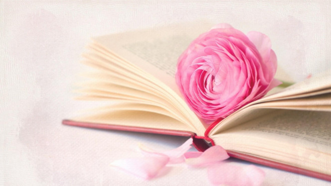 一张美味的图片 &middot; #3448