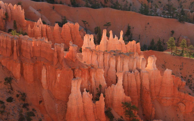 一张美味的图片 &middot; #2154