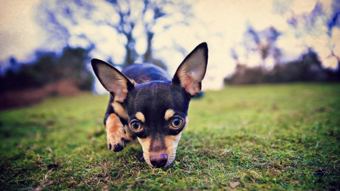 一张美味的图片 &middot; #2193