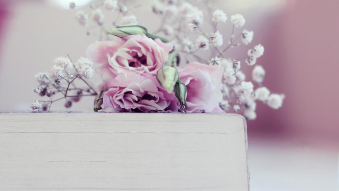 一张美味的图片 &middot; #3446