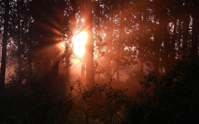 一张美味的图片 &middot; #3010