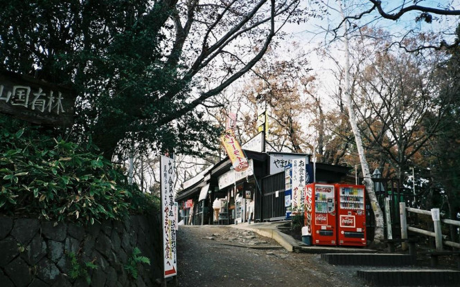 一张美味的图片 &middot; #875