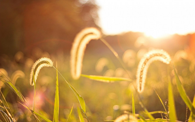 一张美味的图片 &middot; #3095