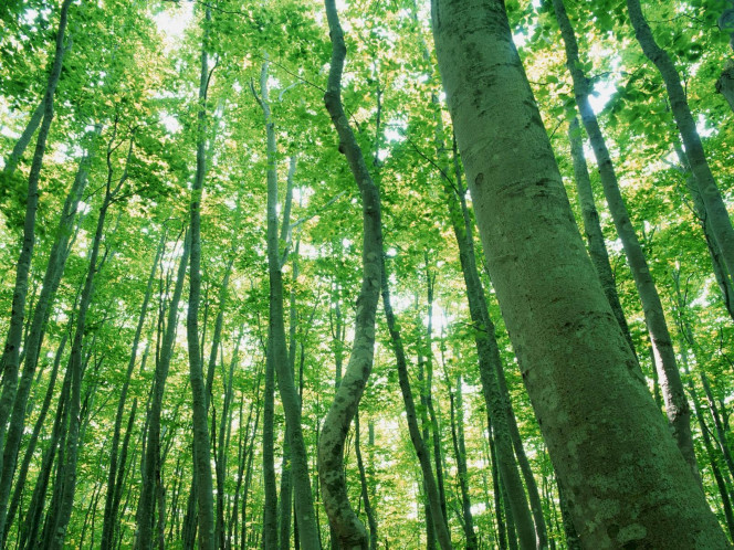 一张美味的图片 &middot; #862