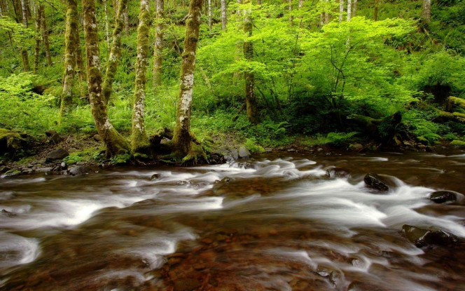 一张美味的图片 &middot; #3796