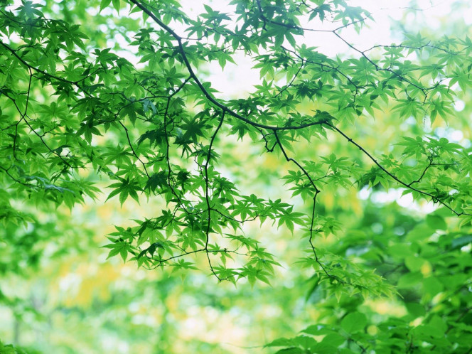 一张美味的图片 &middot; #989