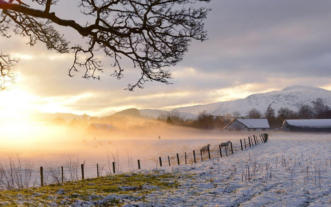 一张美味的图片 &middot; #3160