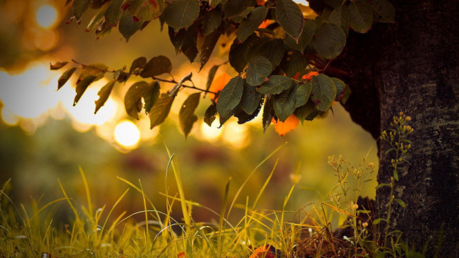 一张美味的图片 &middot; #713