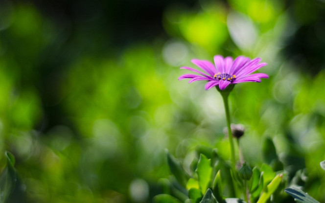 一张美味的图片 &middot; #686