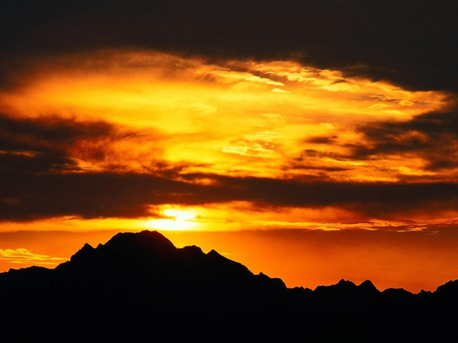 一张美味的图片 &middot; #892