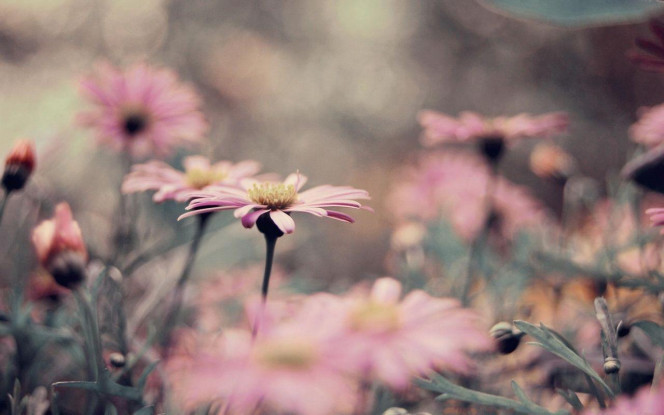 一张美味的图片 &middot; #3635