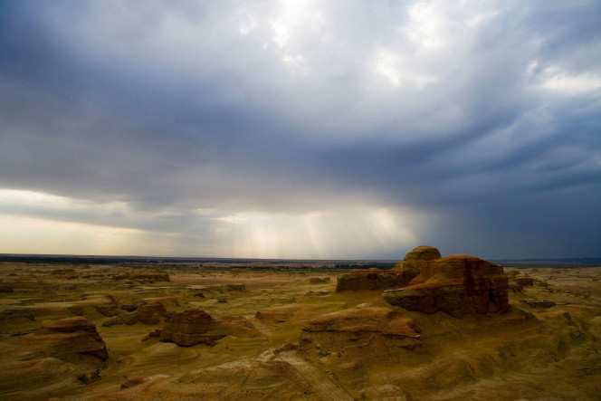 一张美味的图片 &middot; #2057