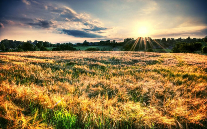 一张美味的图片 &middot; #3171