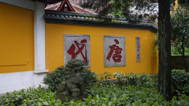 一张美味的图片 &middot; #5126