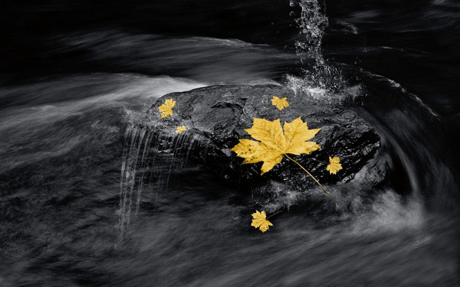 一张美味的图片 &middot; #3299