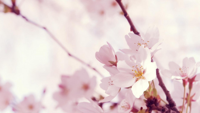 一张美味的图片 &middot; #3492