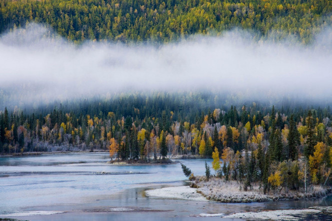 一张美味的图片 &middot; #2090