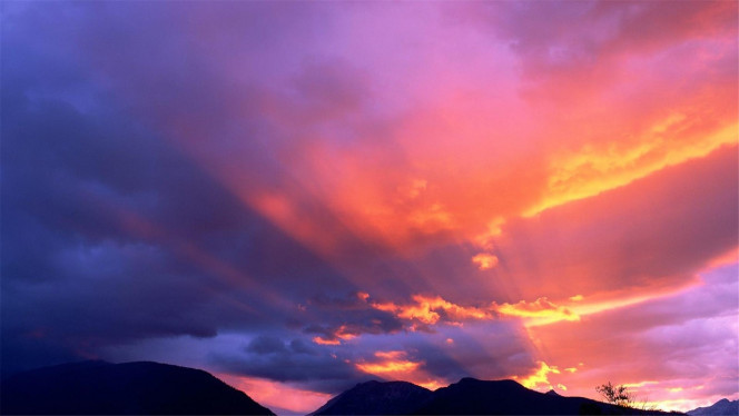 一张美味的图片 &middot; #4078