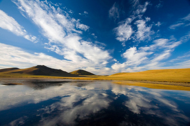 一张美味的图片 &middot; #3799