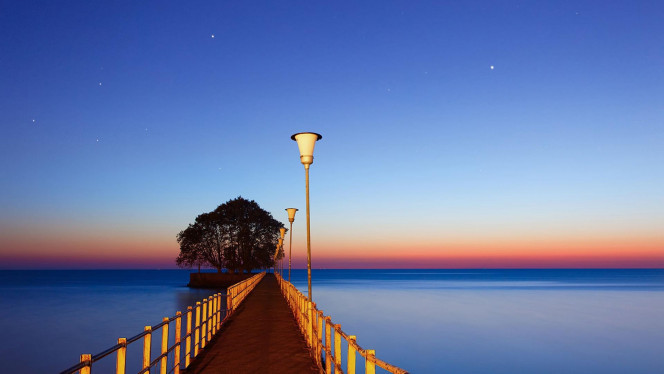 一张美味的图片 &middot; #3846