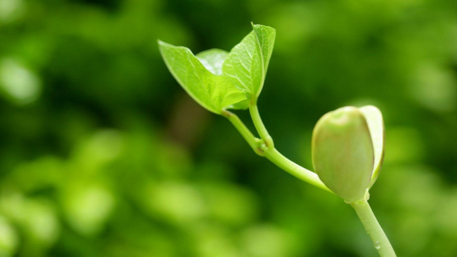 一张美味的图片 &middot; #2722