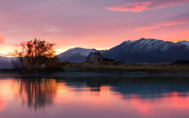 一张美味的图片 &middot; #2770