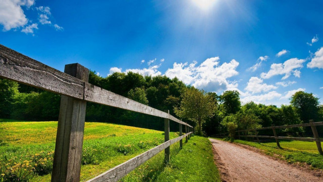 一张美味的图片 &middot; #3784