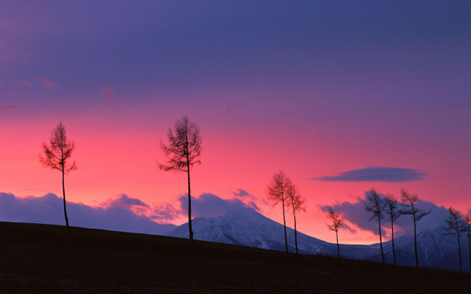 一张美味的图片 &middot; #2215