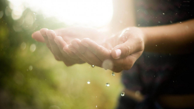 一张美味的图片 &middot; #3441