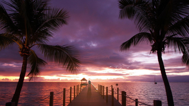 一张美味的图片 &middot; #1224