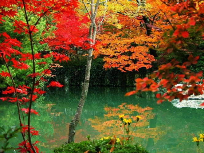 一张美味的图片 &middot; #837