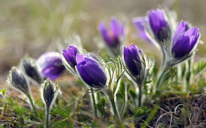 一张美味的图片 &middot; #1833