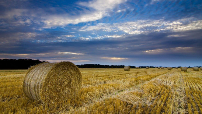 一张美味的图片 &middot; #2591