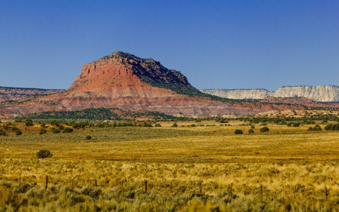 一张美味的图片 &middot; #4091