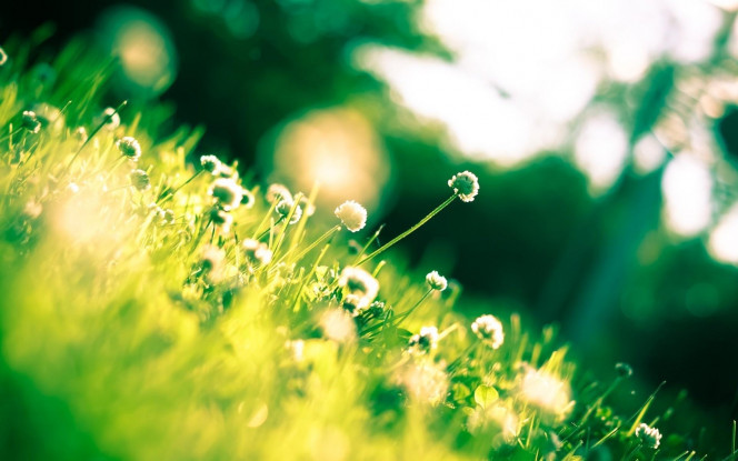 一张美味的图片 &middot; #4154