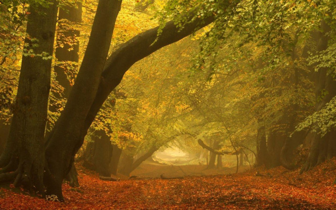 一张美味的图片 &middot; #1906