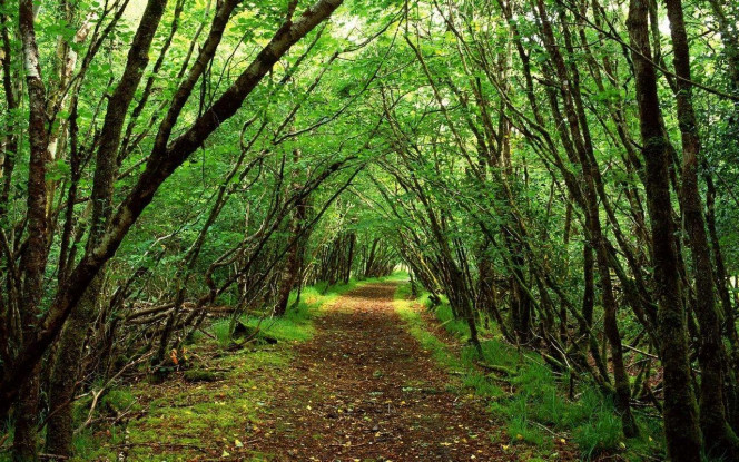 一张美味的图片 &middot; #2717