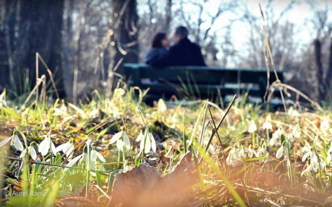 一张美味的图片 &middot; #1229