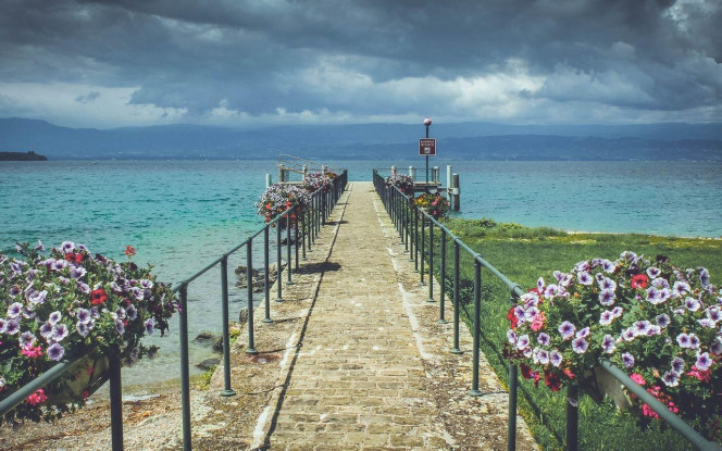 一张美味的图片 &middot; #4384