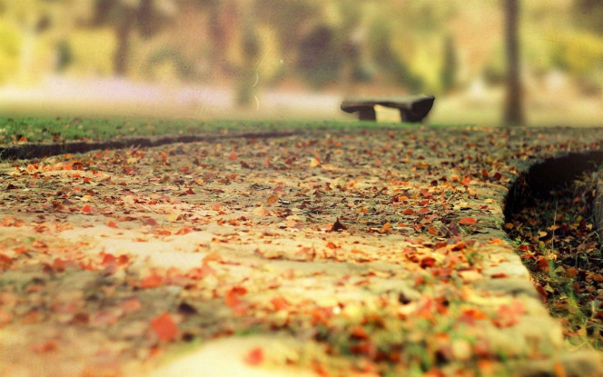 一张美味的图片 &middot; #4048