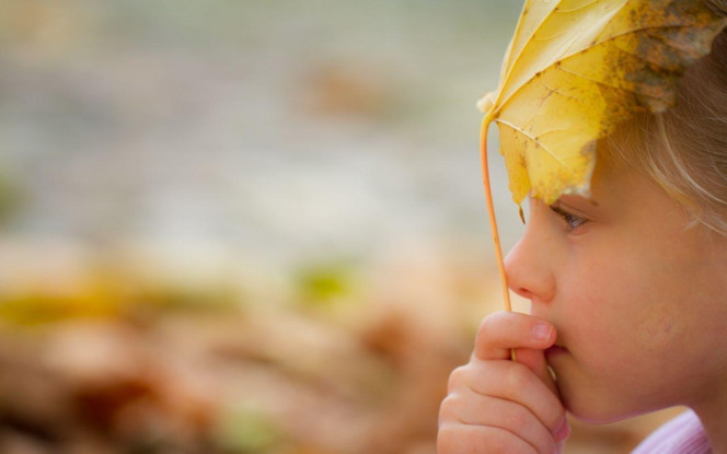 一张美味的图片 &middot; #2174