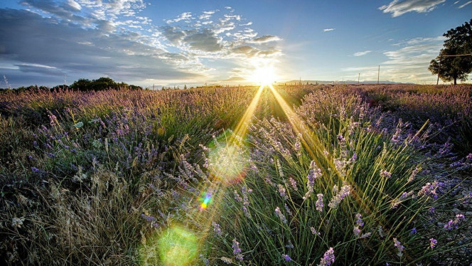 一张美味的图片 &middot; #4330