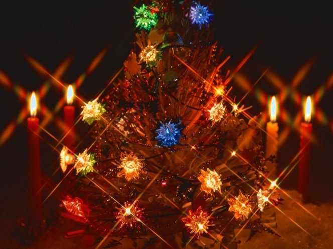 一张美味的图片 &middot; #813