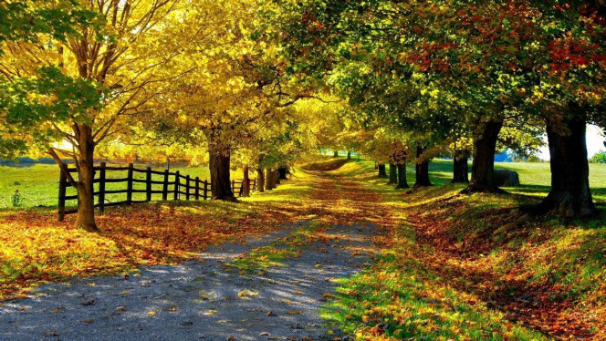 一张美味的图片 &middot; #2425